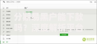 分期易黑户能下款吗？深度解析平台审核机制与用户策略