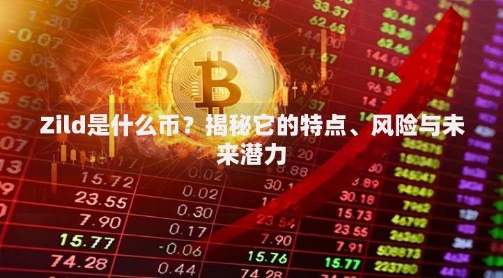 Zild是什么币？揭秘它的特点、风险与未来潜力