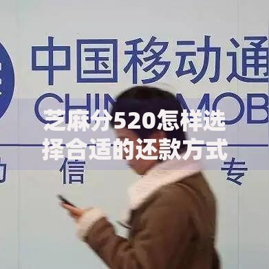 芝麻分520怎样选择合适的还款方式？五大策略助你轻松应对
