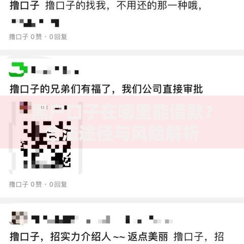 黑户口子在哪里能借款？合法途径与风险解析