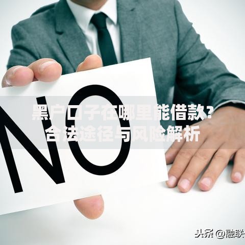 黑户口子在哪里能借款？合法途径与风险解析