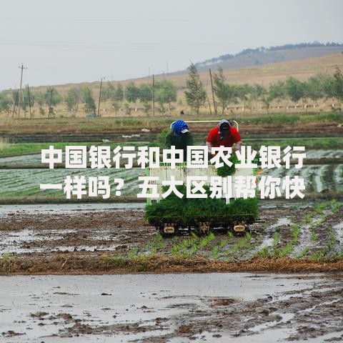 中国银行和中国农业银行一样吗？五大区别帮你快速分清