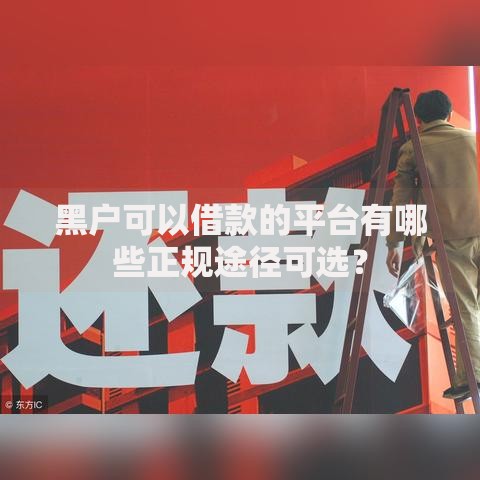 黑户可以借款的平台有哪些正规途径可选？