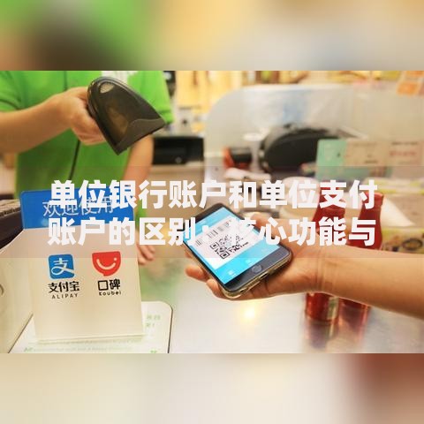 单位银行账户和单位支付账户的区别：核心功能与应用场景解析