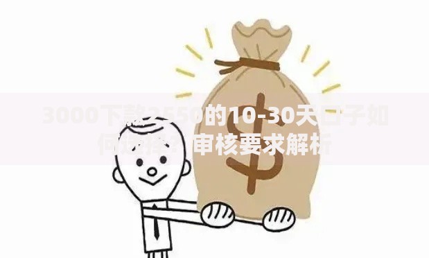 3000下款2550的10-30天口子如何选择？审核要求解析