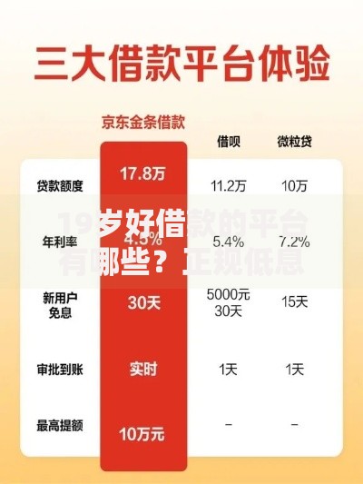 19岁好借款的平台有哪些?正规低息渠道深度解析 19岁好借款的平台有哪些?正规低息渠道深度解析