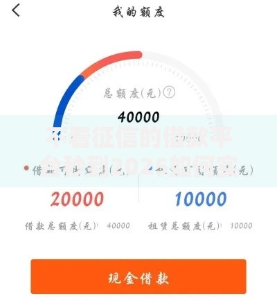 不看征信的借款平台秒到2025如何实现快速放款