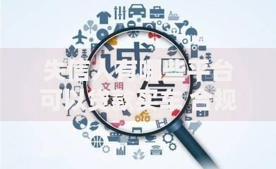 失信人有哪些平台可以贷款买车 合规渠道深度解析