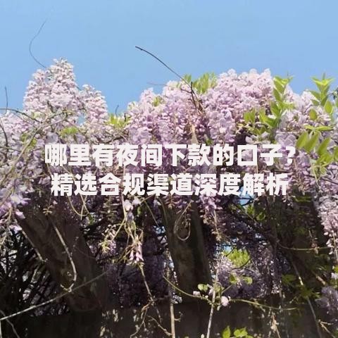 哪里有夜间下款的口子？精选合规渠道深度解析