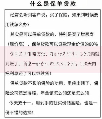 哪些口子可以保单贷款？正规渠道选择指南与避坑技巧