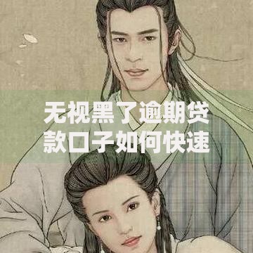 无视黑了逾期贷款口子如何快速获取资金解决方案