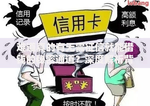 难道真的有无需征信就能借钱的秘密通道？深度解析背后真相