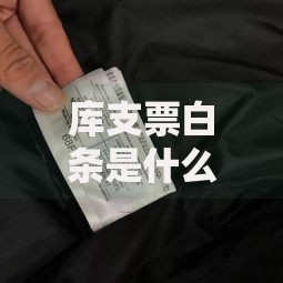 库支票白条是什么？一文搞懂它的功能与使用场景