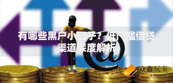 有哪些黑户小口子？低门槛借贷渠道深度解析