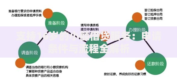 支持16岁的小额借贷服务：申请条件与流程全解析