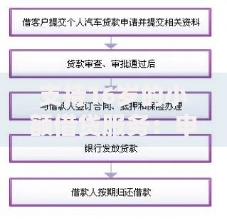 支持16岁的小额借贷服务：申请条件与流程全解析