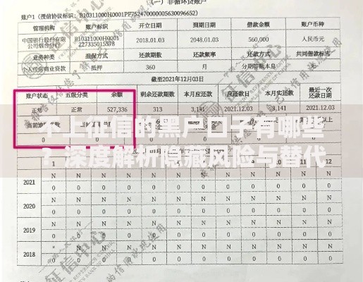不上征信的黑户口子有哪些？深度解析隐藏风险与替代方案