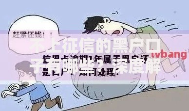不上征信的黑户口子有哪些？深度解析隐藏风险与替代方案