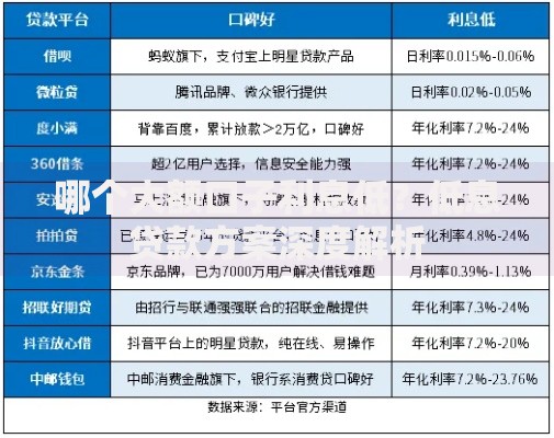 哪个大额口子利息低？低息贷款方案深度解析
