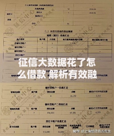 征信大数据花了怎么借款 解析有效融资渠道与技巧
