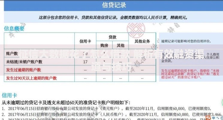 征信大数据花了怎么借款 解析有效融资渠道与技巧