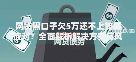 网贷黑口子欠5万还不上如何应对？全面解析解决方案与风险规避