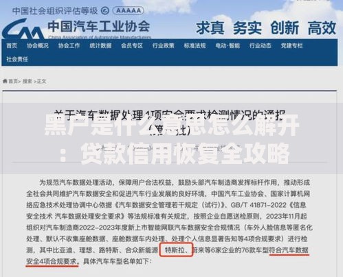 社保卡号和身份证号真的一样吗一文读懂区别与关系避免混淆