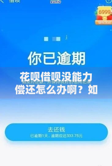 农行周六周日银行上班吗？营业时间与注意事项全解析