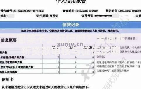国美不上征信吗？全面解析贷款审核与征信影响