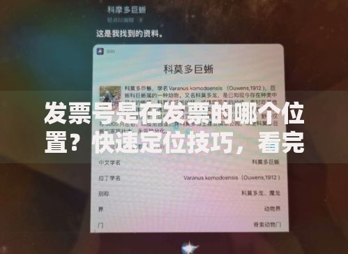 发票号是在发票的哪个位置？快速定位技巧，看完秒懂