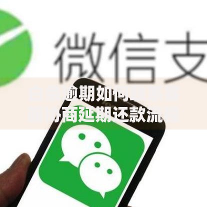 白条逾期如何联系客服协商延期还款流程详解