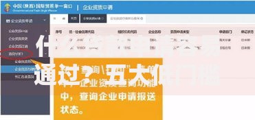什么贷款申请容易通过？五大低门槛贷款类型解析
