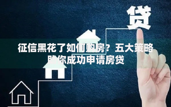 征信黑花了如何购房？五大策略助你成功申请房贷