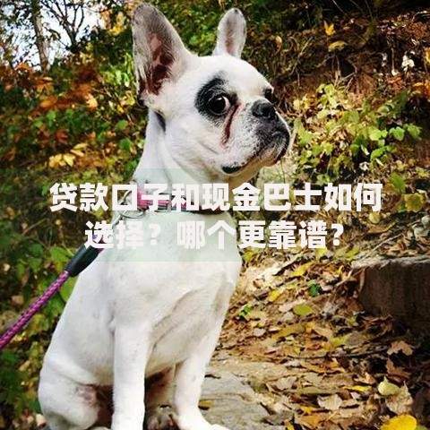 贷款口子和现金巴士如何选择？哪个更靠谱？