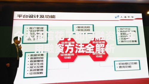 个人征信花了如何融资？实用融资方法全解析