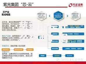 慈善币是什么东西？揭秘它的运作模式与潜在风险