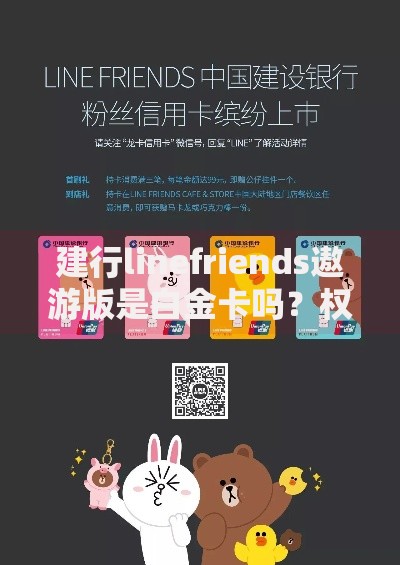 建行linefriends遨游版是白金卡吗？权益与等级深度解析