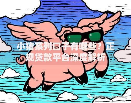 小猪系列口子有哪些？正规贷款平台深度解析