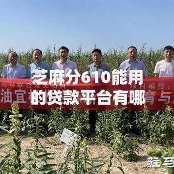 芝麻分610能用的贷款平台有哪些？全面解析合规渠道