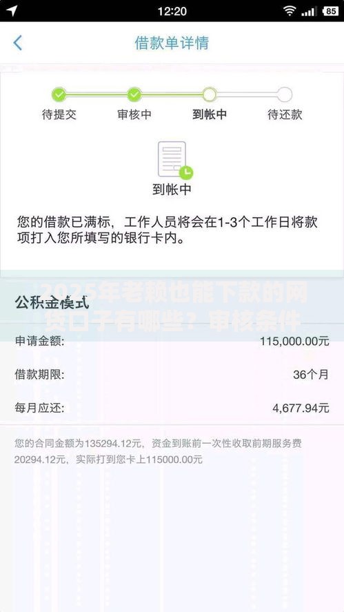 2025年老赖也能下款的网贷口子有哪些？审核条件全解析