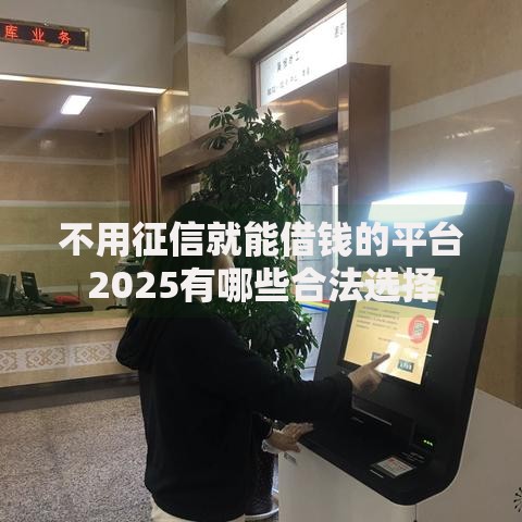 不用征信就能借钱的平台2025有哪些合法选择