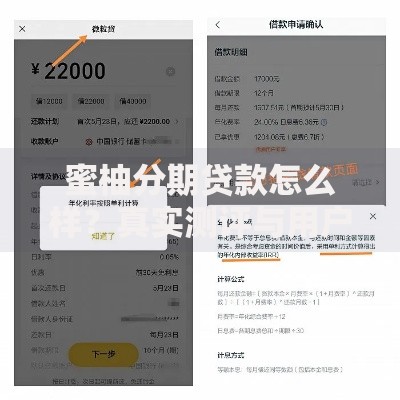 蜜柚分期贷款怎么样？真实测评与用户使用体验解析