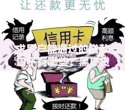 求黑户能通过的贷款口子有哪些？黑户贷款渠道深度解析