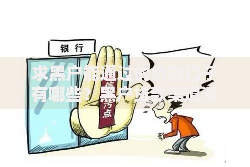 求黑户能通过的贷款口子有哪些？黑户贷款渠道深度解析