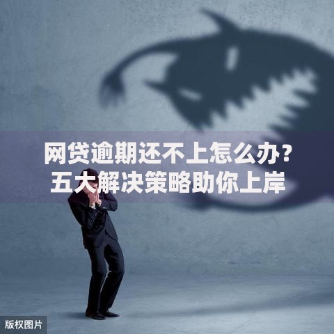 网贷逾期还不上怎么办？五大解决策略助你上岸