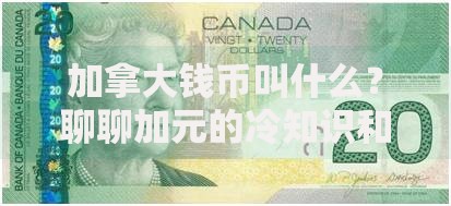加拿大钱币叫什么？聊聊加元的冷知识和有趣设计