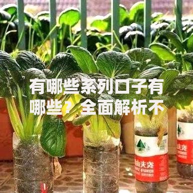 有哪些系列口子有哪些？全面解析不同贷款产品类型