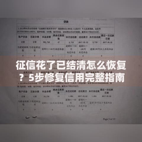 征信花了已结清怎么恢复？5步修复信用完整指南