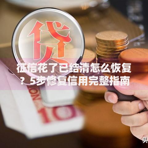 征信花了已结清怎么恢复？5步修复信用完整指南