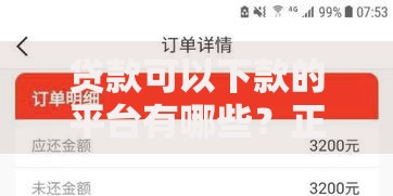 贷款可以下款的平台有哪些？正规渠道深度解析